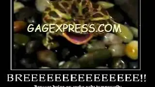 Top Ten Funniest Roller Coaster Pictures