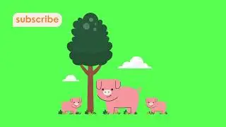 Pig with his family || Green screen background|| copyright free animated video