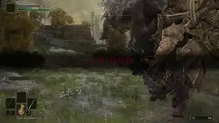 Elden Ring - Noob run! PART 1
