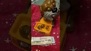 Sampaloc Balls from Merzi for maddog #ASMR #ANGRY dog #maddog #shorts (2)