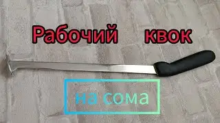 Квок на сома