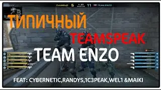 Типичный TEAMSPEAK TEAM ENZO