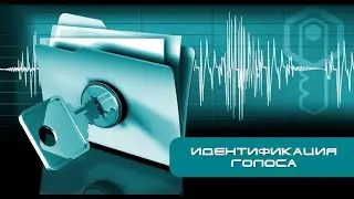 Идентификация голоса