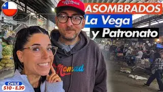 😲Esto venden en el MEJOR MERCADO de SANTIAGO de CHILE 🇨🇱 Recorremos LA VEGA y PATRONATO