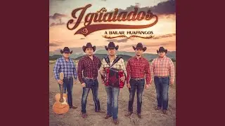 El Pávido Návido