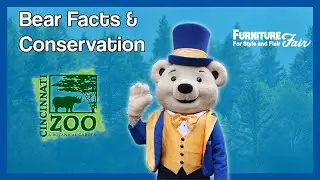 Bear Facts At The Cincinnati Zoo