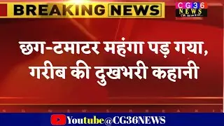 टमाटर🍅 की महंगाई देख आम आदमी को रोना आ जाएगा/ Tomato Price in Chhattisgarh 100 Rs/  kg in Market