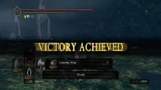 Finally beat Kalameet. Brute force style.