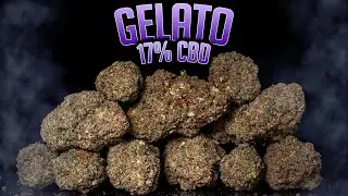 GELATO 17% CBD | dozeCBD