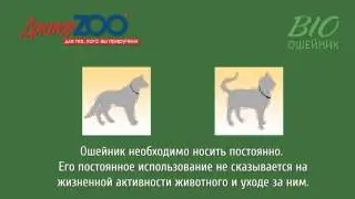 Как избавиться от паразитов без вреда для питомца? Попробуйте ошейники ДокторZOO