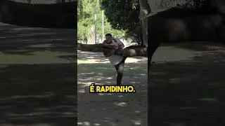 Você acredita em mágica? 😂 