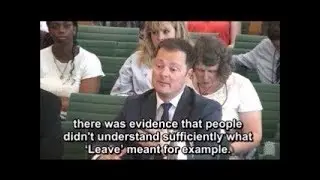 UK Electoral Commission: People didn't understand what ‘Leave’ meant...