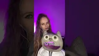 Ты не толстый, ты пушистый) 