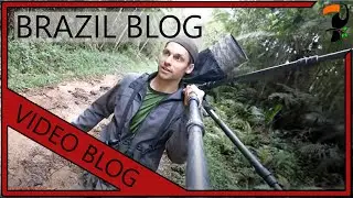 Video Blog - Brazil (By Wildlife Photographer Glenn Bartley)