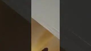 Touch my pussy?