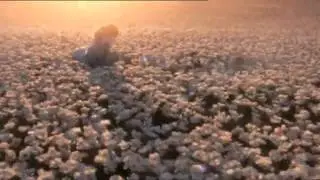 Flora by GUCCI perfume commercial