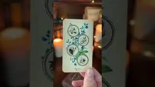 What Blessings Can You Expect Within the Next 72 Hours | #tarot #tarotreading