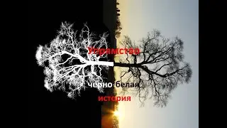Психология упрямства. Что в нем хорошего?