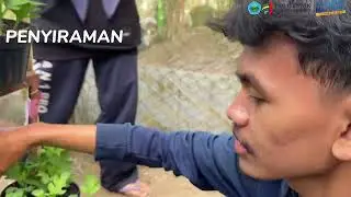 Project Based Learning Produksi Krisan Rembangan