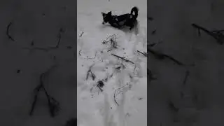 10.01.2023 г.