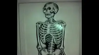 Bones - FreakyFriday