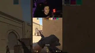Эко кобра 🤫 