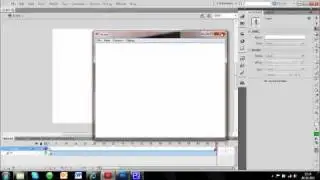Flash Video Player Skinning