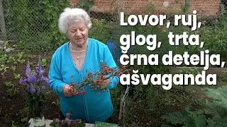 Domača, zdravilna zelišča, Terezija Nikolčič