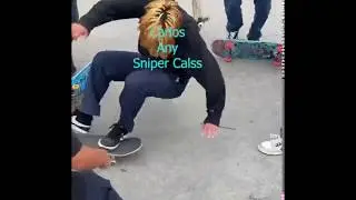 board tik tokers