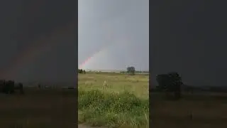Не жених😅🤭 #лето #природа #beautiful #топ #смешныевидео