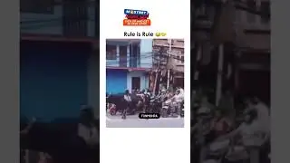 Rule is Rule 😂 Now Matter Animal or human Being 😂 #shortsviral #fashiontrends #shorts  #funnyshorts