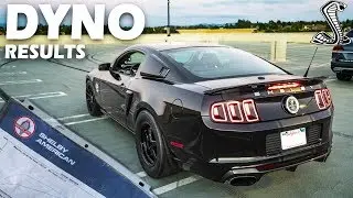 The DYNO RESULTS For My 1000hp Shelby GT500 Super Snake Are In!
