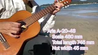 Travel guitar Aria A-20-48