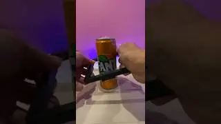 Fanta in frame
