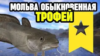 🟡 РР4┃🔥 ТРОФЕЙ - МОЛЬВА ОБЫКНОВЕННАЯ┃📢 12.04.2024┃maXS1k