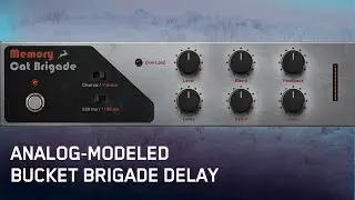 Memory Cat Brigade | Famous Delay Pedal Recreation | Real-time Effect