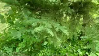 Barehand land management