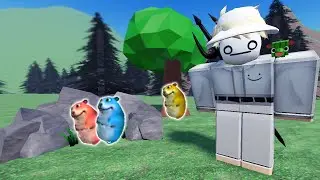 Found EVERY Color Chomik in Roblox Find the Chomiks!