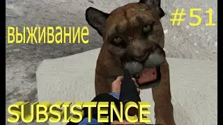 Subsistence выживание 2022.