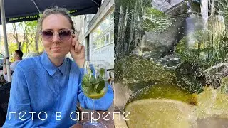 влог из Белграда I наша спокойная жизнь в Сербии