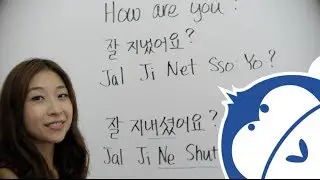 How to say "how are you?" in Korean - Learn Korean Ep 29