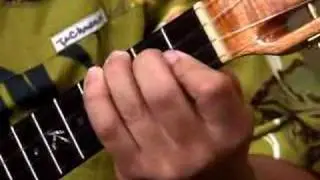 Learn to play the 'ukulele