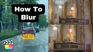 How To Blur License Plate, Face in Final Cut Pro 11 Using Magnetic Mask