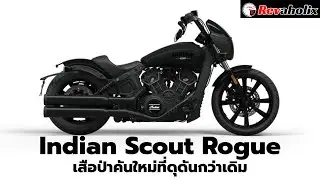 Indian Scout Rogue เสือป่าคันใหม่ที่ดุดันกว่าเดิม | Revaholix