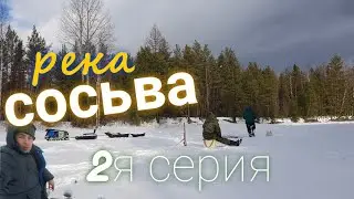 5 дней в тайге. слияние рек сосьва-тонга