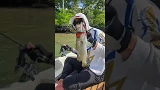 Fishing at Pulau Ubin (luring only)