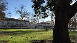California State University Channel Islands Live Stream