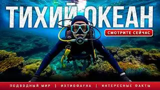 САМЫЙ ГЛУБОКИЙ ОКЕАН!!! Неразгаданные тайны Тихого Океана!!!