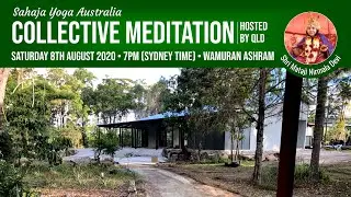 Collective Meditation | Saturday 8th August  2020, 7pm (Sydney time)
