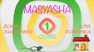 Масяша и папа строят домик из картона для хомячка. Челлендж. Challenge. Первая серия #1